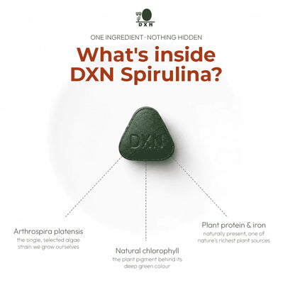 Fuel Your Body with Natural Green Energy from Spirulina
